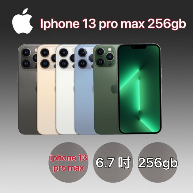 【熱門商品】APPLE IPHONE 13 PRO MAX 6.7吋 (256G)★過件即贈七大好禮：9H鋼化玻璃保護貼+超防摔空壓殼+品牌無線充電盤+品牌傳輸線+精美指環扣+鏡頭玻璃貼+1分2音源線★