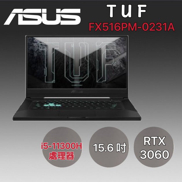 【電競必備】ASUS 華碩 TUF FX516PM-0231A11300H